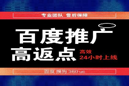 百度广告投放策略：成功案例解析