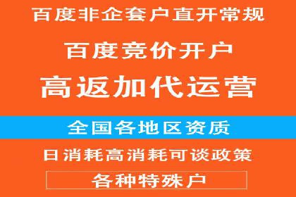 推广竞价策略优化：借鉴经典案例提升效果